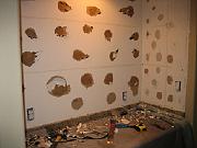 Kitchen Remodel 2009 006